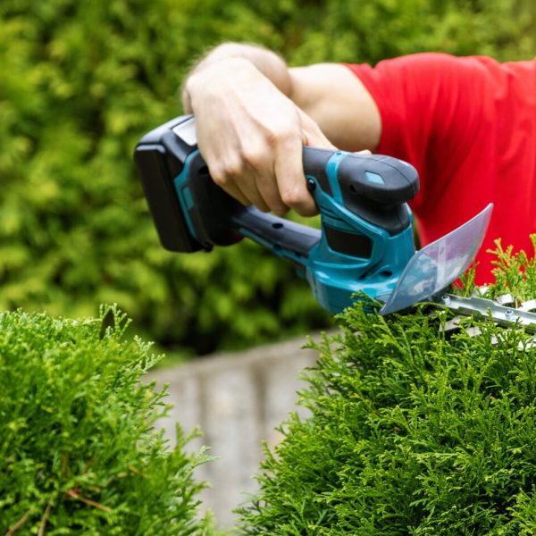 shutterstock_1831925356